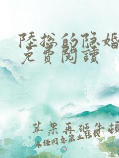 陆总的隐婚娇妻免费阅读