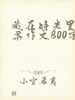 藏在时光里的答案作文800字