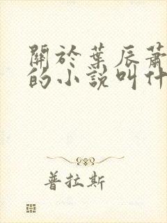 关于叶辰萧初然的小说叫什么