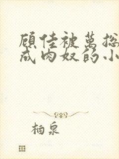 顾佳被万总调教成肉奴的小说