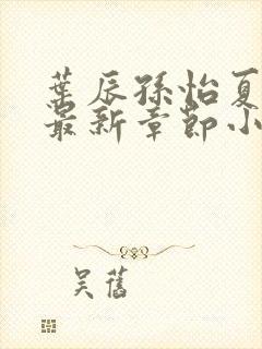 叶辰孙怡夏若雪最新章节小说