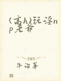 (高h)玩淫np老爷