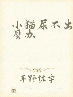 小猫尿不出尿怎么办