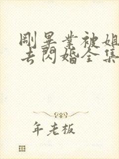 刚毕业被姐姐拉去闪婚全集介绍