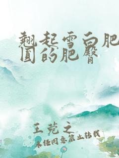 翘起雪白肥嫩浑圆的肥臀