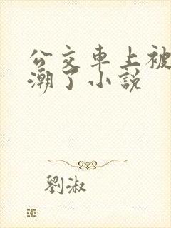 公交车上被摸高潮了小说