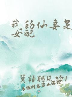 我的仙妻是恶毒女配