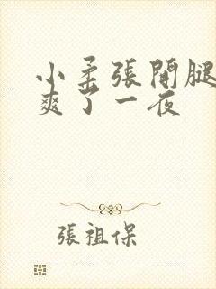 小柔张开腿让我爽了一夜