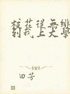 校花从无绯闻直到我上大学小说txt