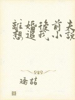 离婚后前夫总是想追我小说无弹窗