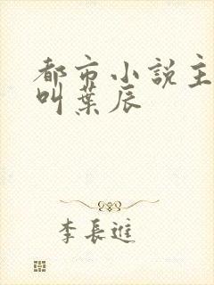 都市小说主人公叫叶辰