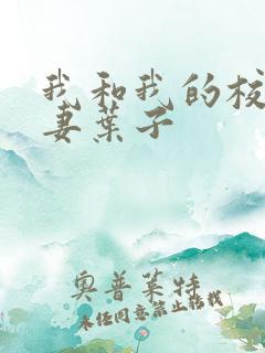 我和我的校花娇妻叶子