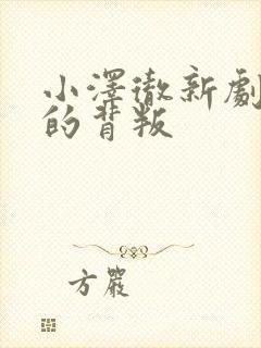 小泽彻新剧妻子的背叛