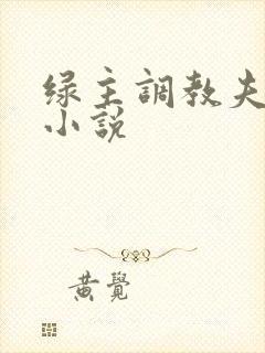 绿主调教夫妻奴小说