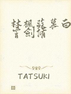 林枫苏慕白穿神霄剑修