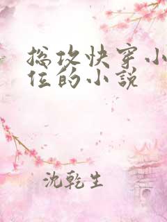 总攻快穿小三上位的小说