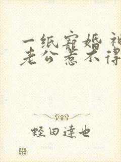 一纸宠婚 神秘老公惹不得
