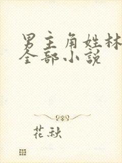 男主角姓林辰的全部小说