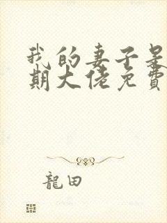 我的妻子是大乘期大佬免费阅读