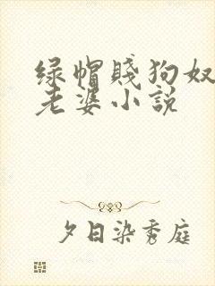 绿帽贱狗奴伺候老婆小说