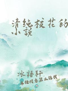 清纯校花的日记小说