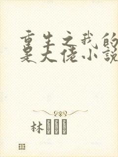 重生之我的老公是大佬小说