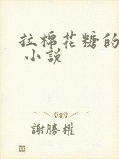 拉棉花糖的兔子 小说