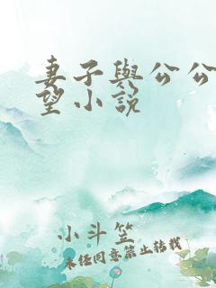 妻子与公公的欲望小说