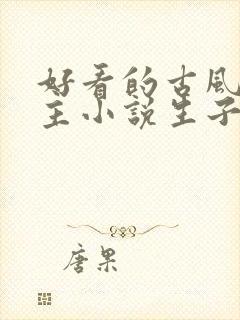 好看的古风双男主小说生子