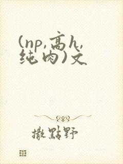 (np,高h,纯肉)文