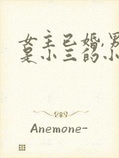 女主已婚,男主是小三的小说