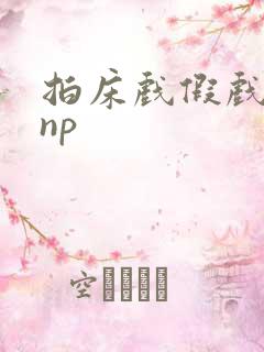 拍床戏假戏真做np