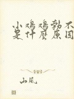 小鸡鸡勃不起来是什么原因呢