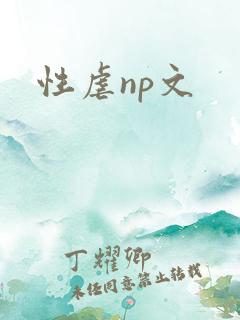 性虐np文