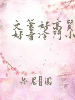 文笔好高质量超好看冷门小说