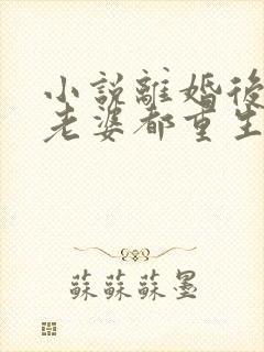 小说离婚后我和老婆都重生了