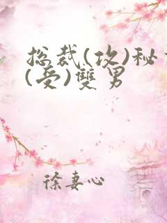 总裁(攻)秘书(受)双男