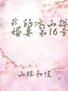我的冰山总裁未婚妻 第16章