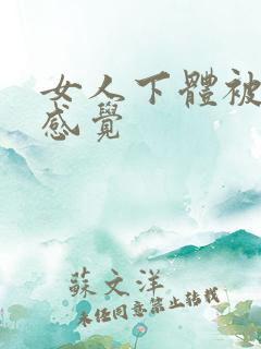 女人下体被舔的感觉