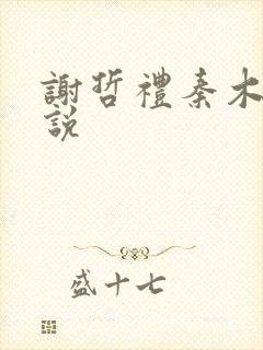 谢哲礼秦木蓝小说