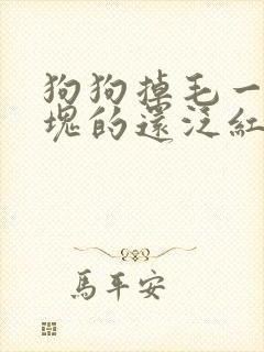 狗狗掉毛一块一块的还泛红