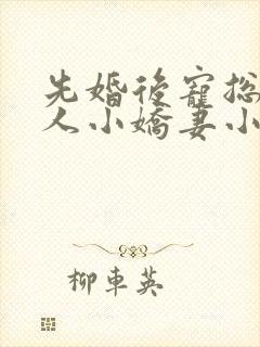 先婚后宠总裁大人小娇妻小说免费阅读全集