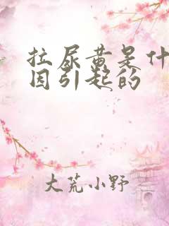 拉尿黄是什么原因引起的