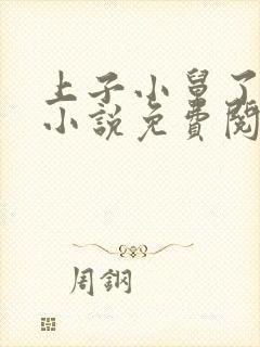 上子小舅了老婆小说免费阅读