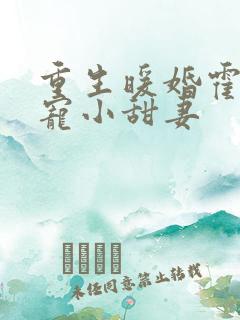 重生暖婚霍总狠宠小甜妻
