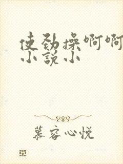 使劲操啊啊啊啊小说小