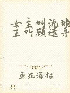 女主叫沈明月男主叫顾远舟的小说