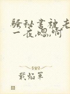 骚秘书被老板操一夜,嗯,啊