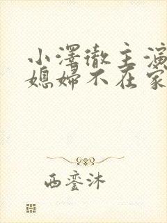 小泽彻主演 儿媳妇不在家 电视剧