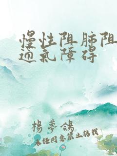 慢性阻肺阻塞性通气障碍